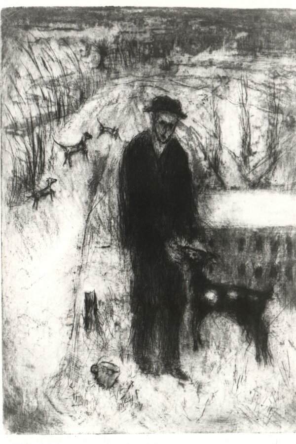 Předměstí 1950, 281 × 199